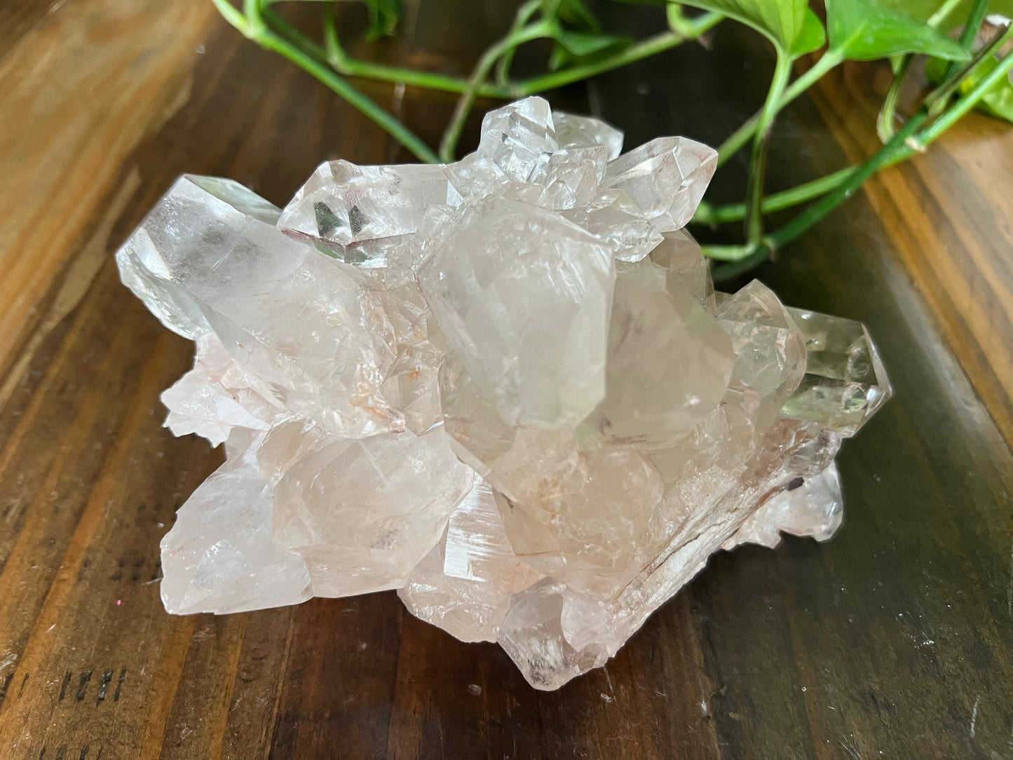 Pink Himalayan Samadhi Quartz Statement Piece