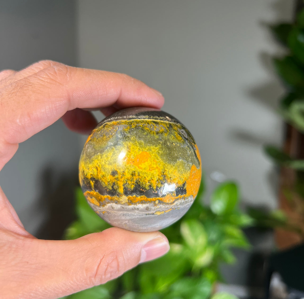 Bumblebee Jasper Spheres