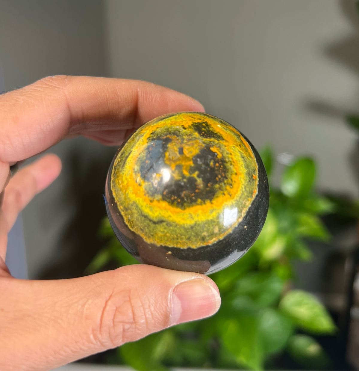 Bumblebee Jasper Spheres