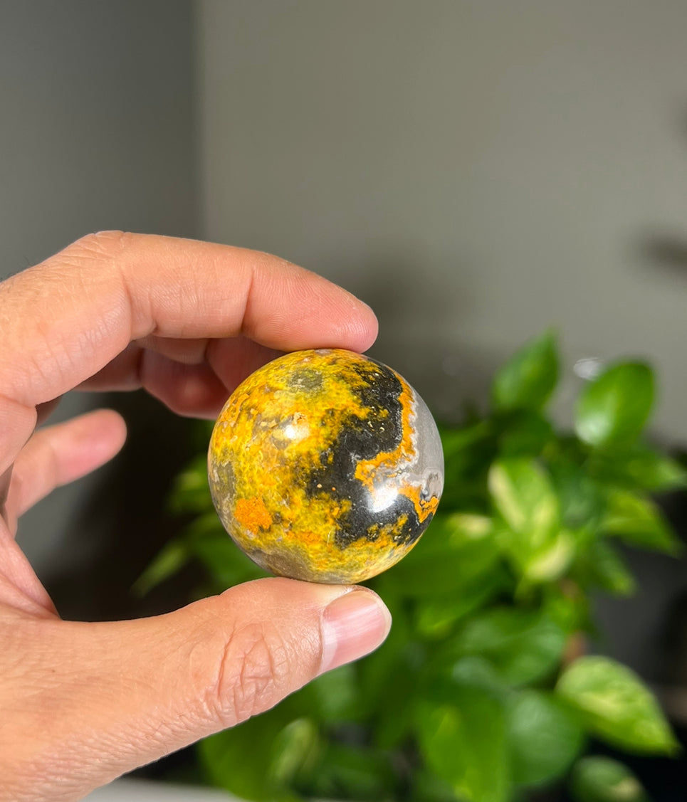 Bumblebee Jasper Spheres