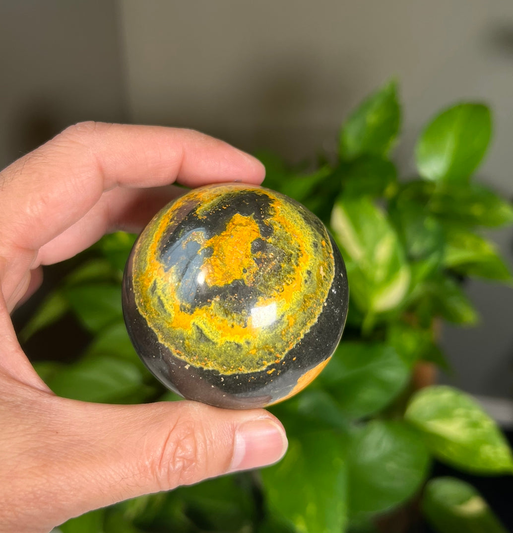 Bumblebee Jasper Spheres