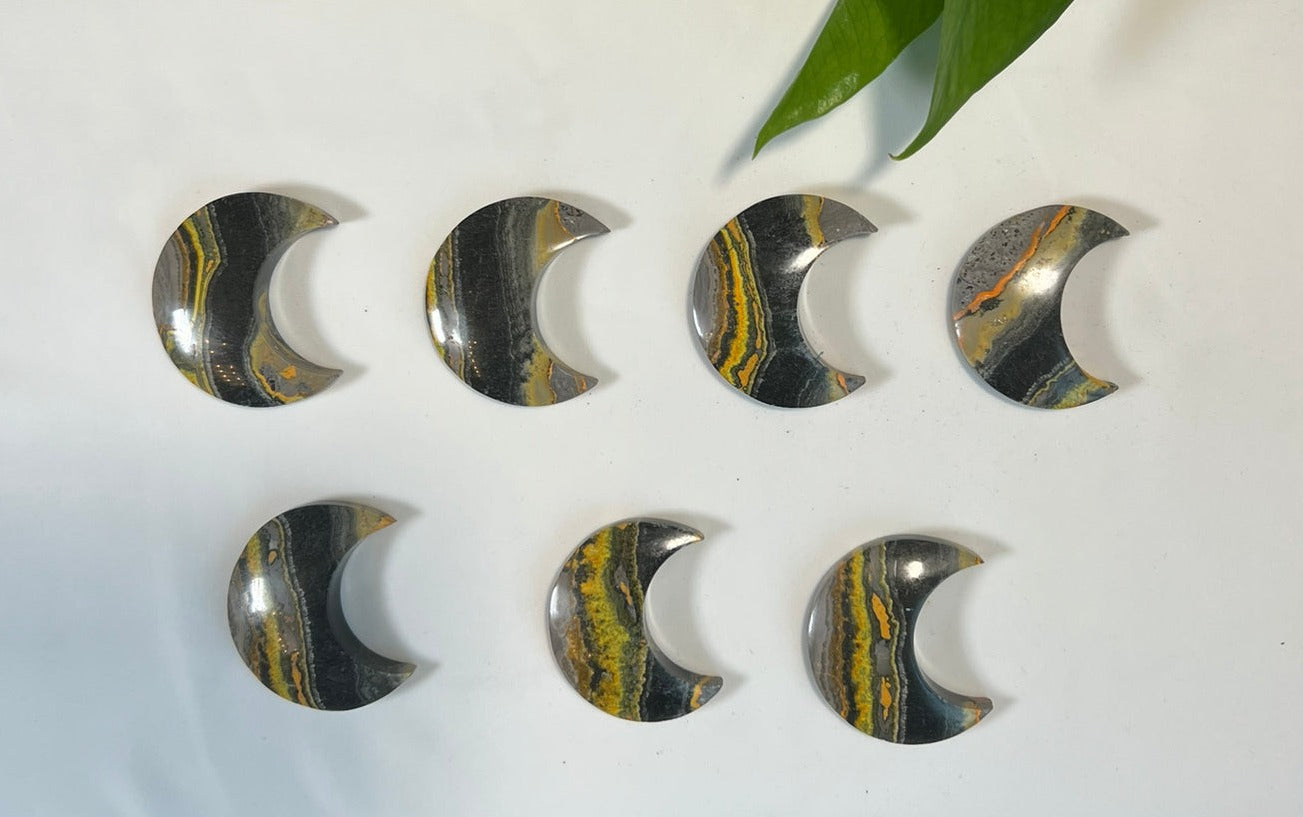 Bumblebee Jasper Small Moons