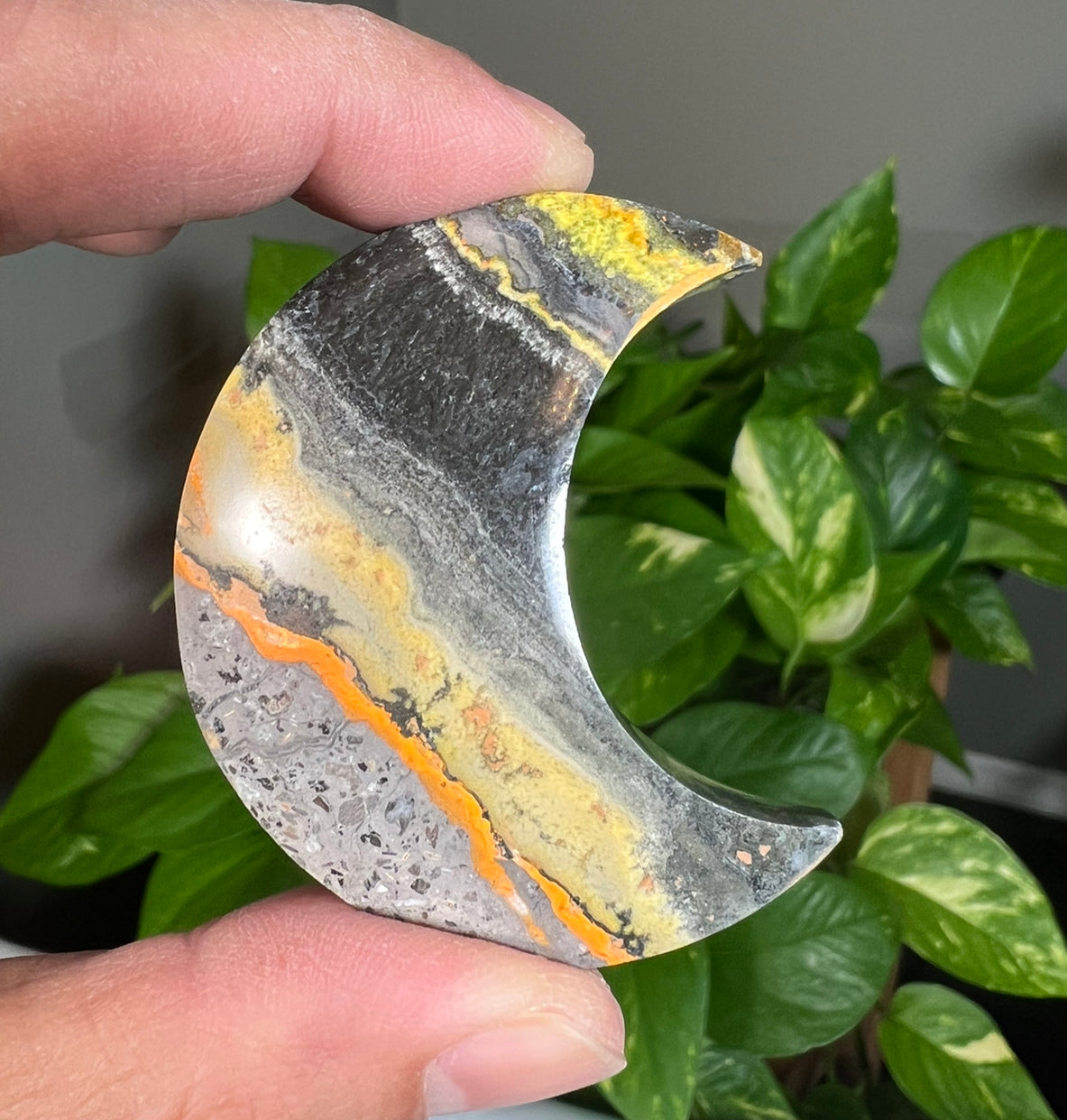 Bumblebee Jasper Small Moons