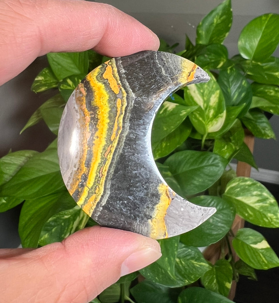 Bumblebee Jasper Small Moons