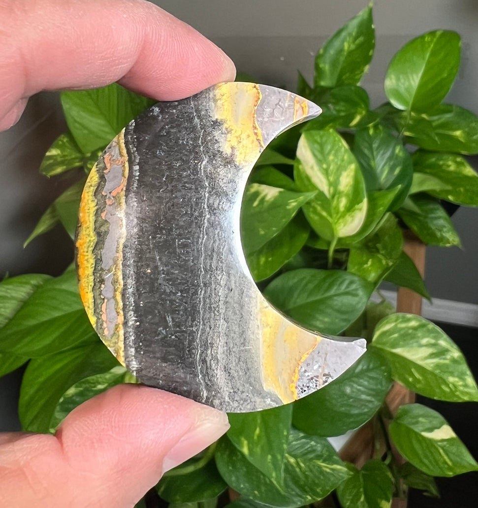 Bumblebee Jasper Small Moons