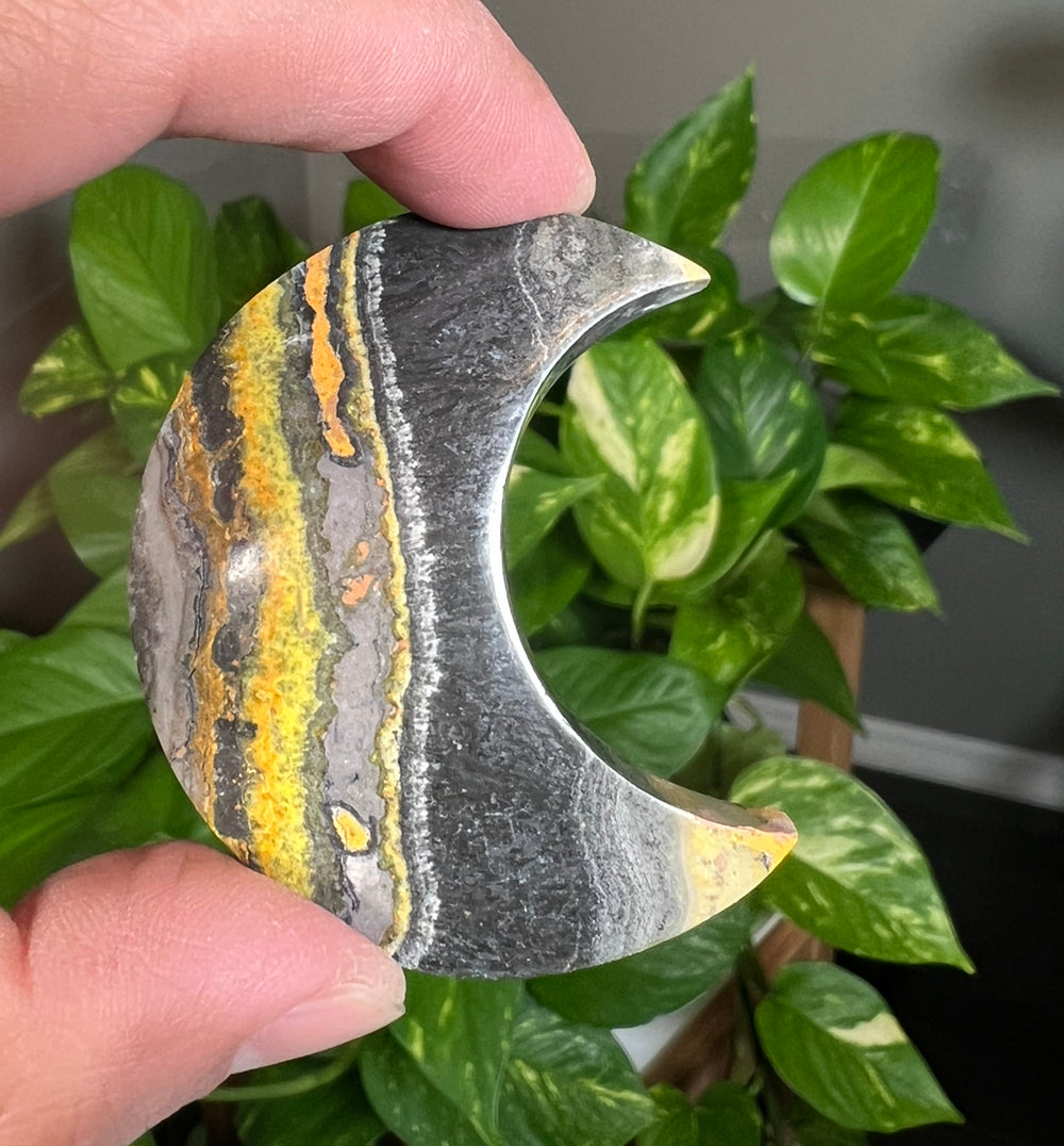 Bumblebee Jasper Small Moons