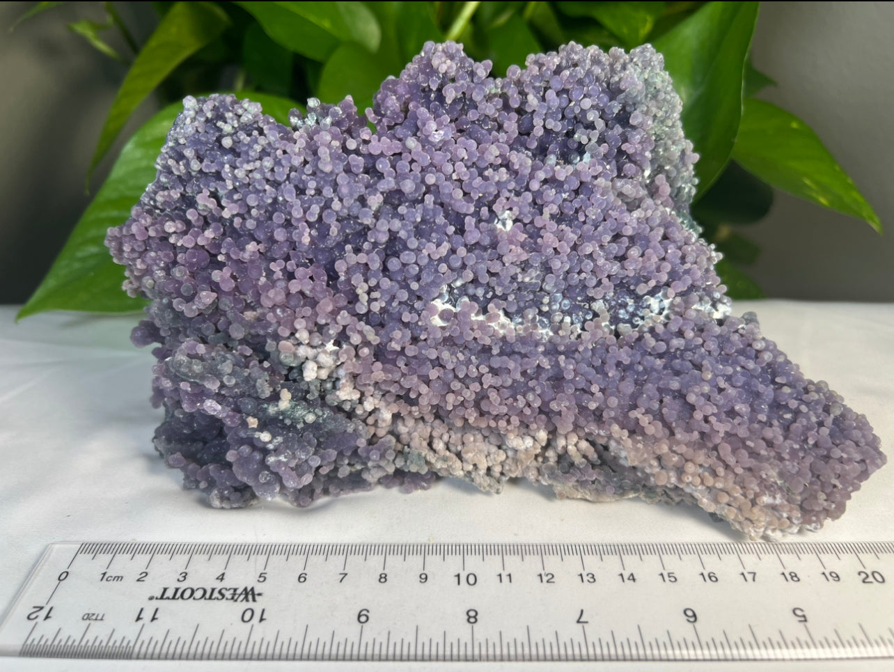 Grape Agate