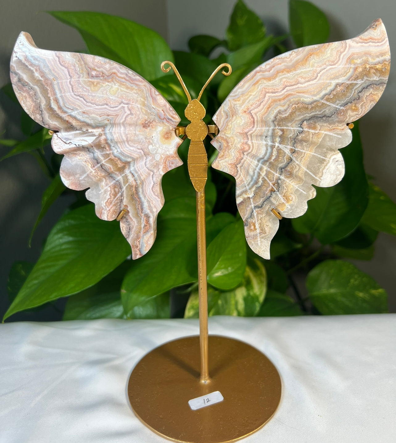 Crazy Lace Agate Wings