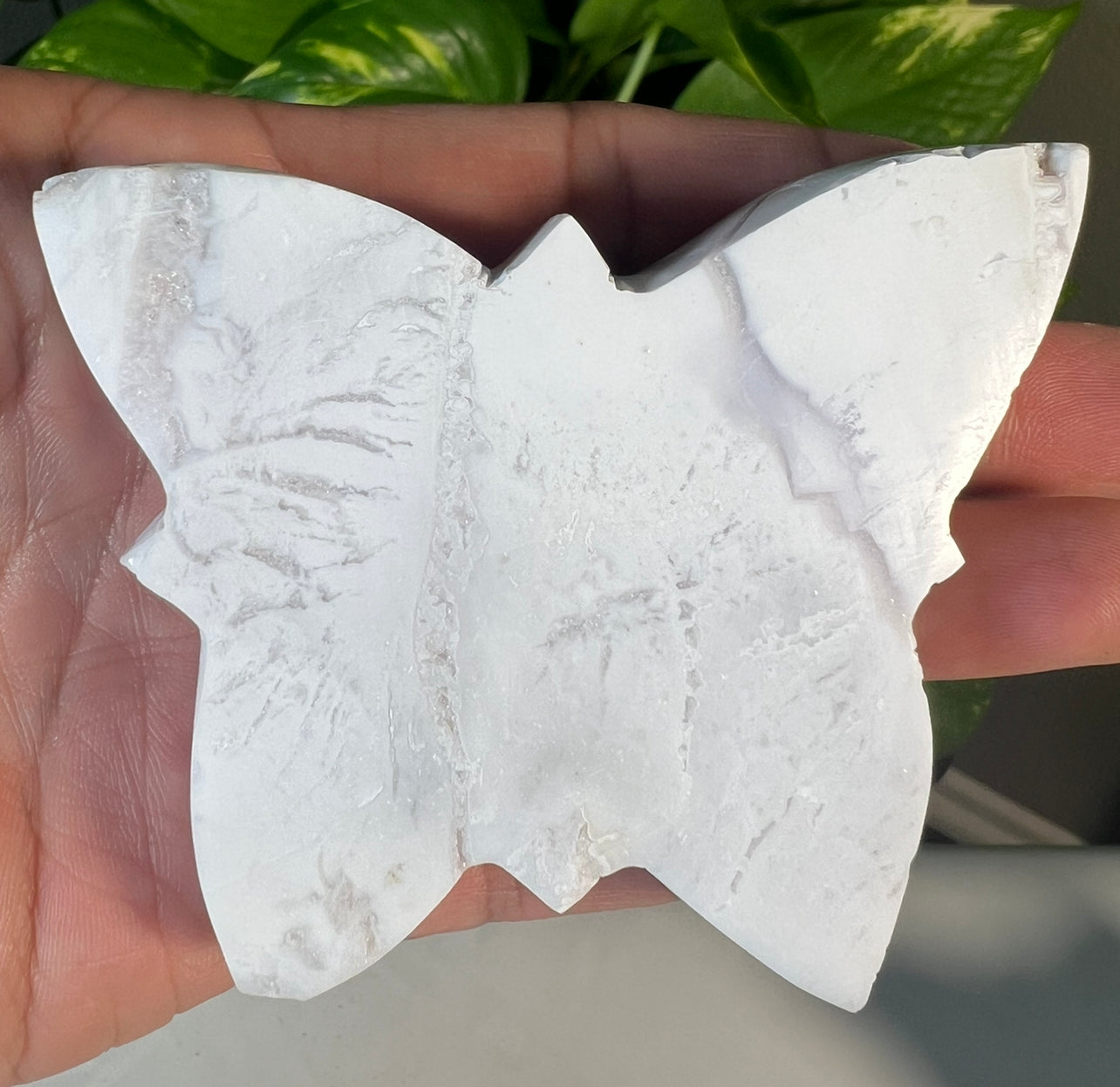 White Snow Agate Butterflies