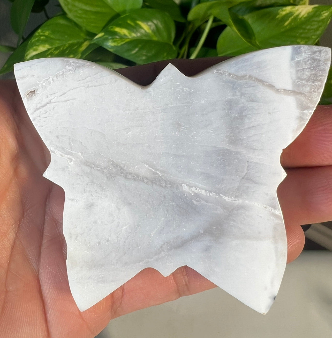 White Snow Agate Butterflies