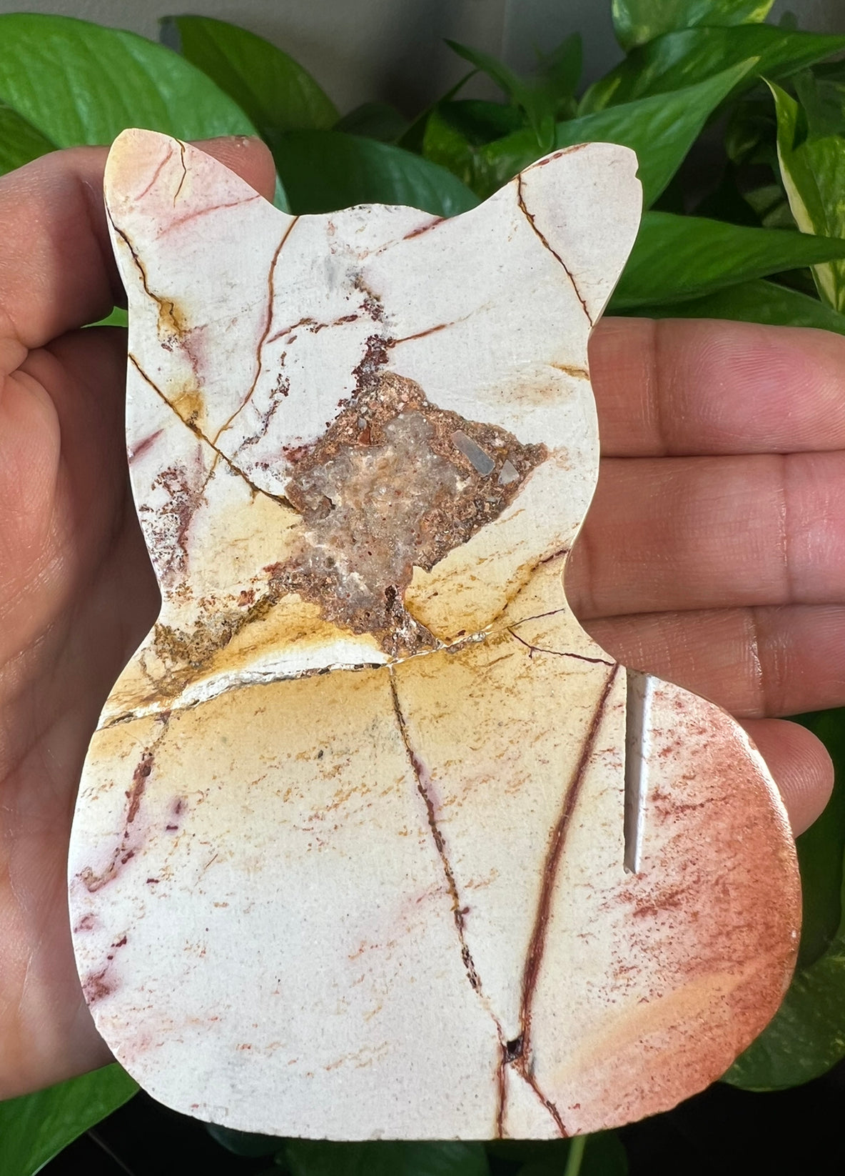 Polychrome Jasper Cats