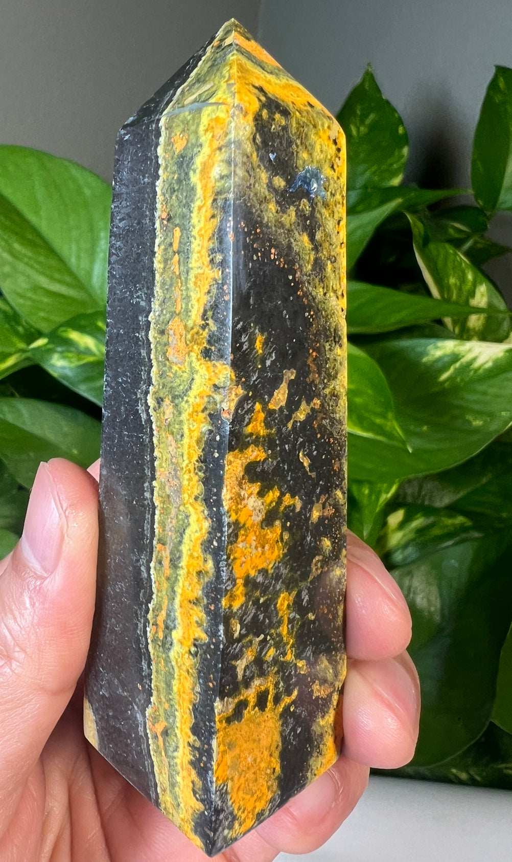 Bumblebee Jasper Towers