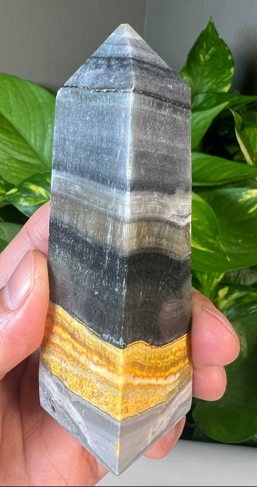 Bumblebee Jasper Towers