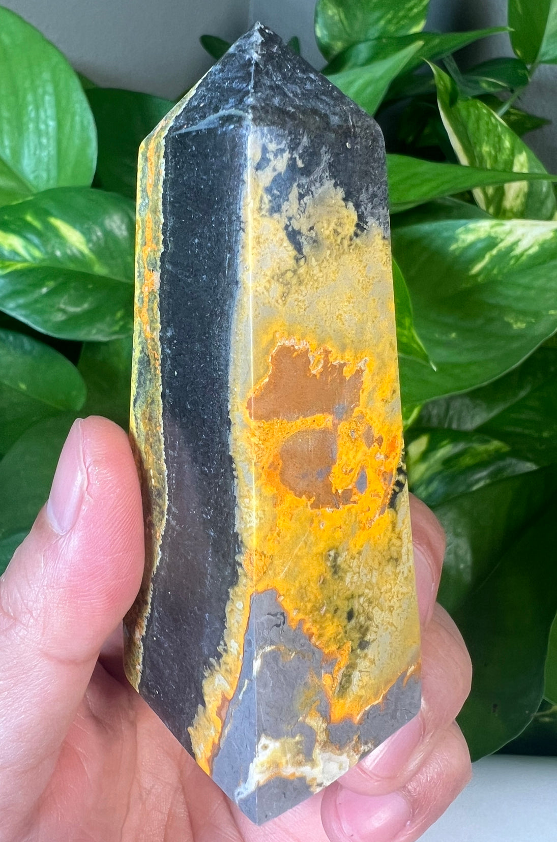 Bumblebee Jasper Towers