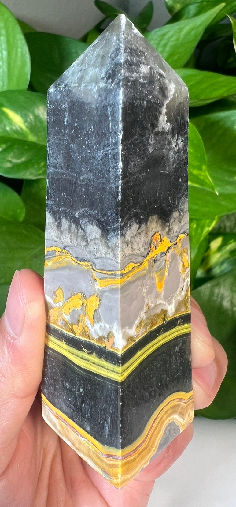 Bumblebee Jasper Towers