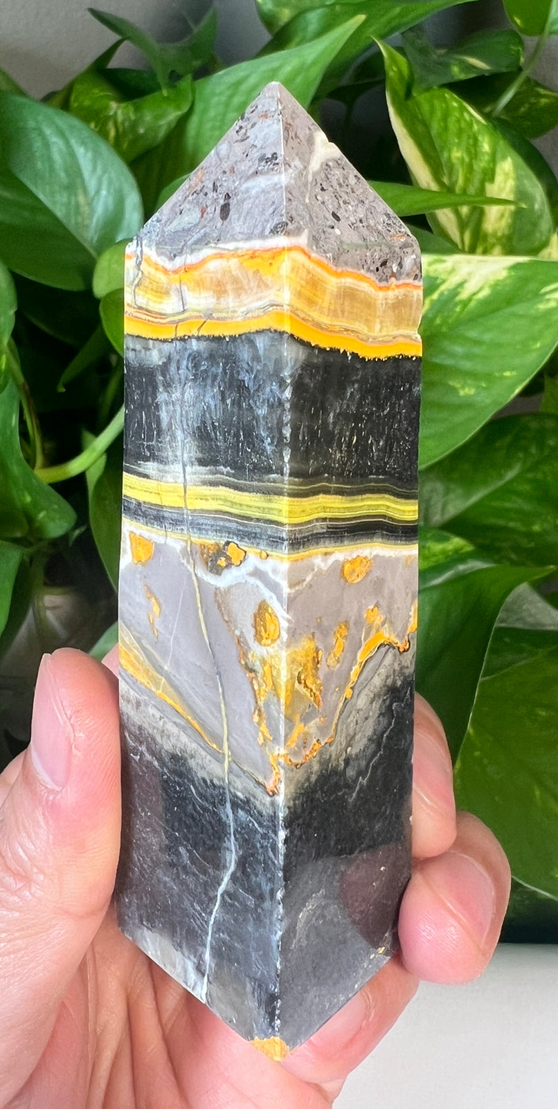 Bumblebee Jasper Towers