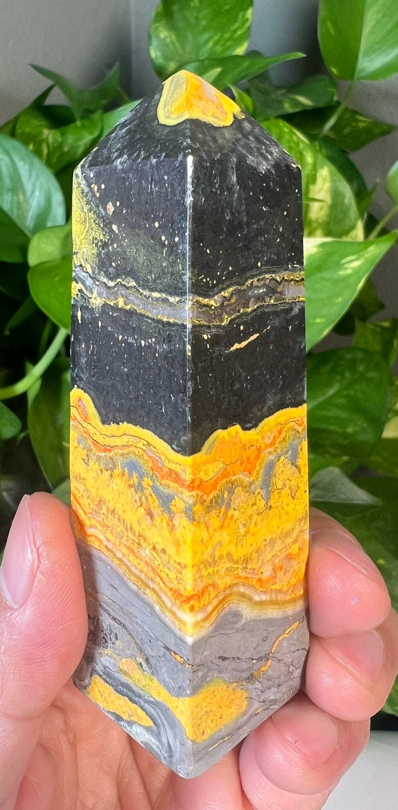 Bumblebee Jasper Towers