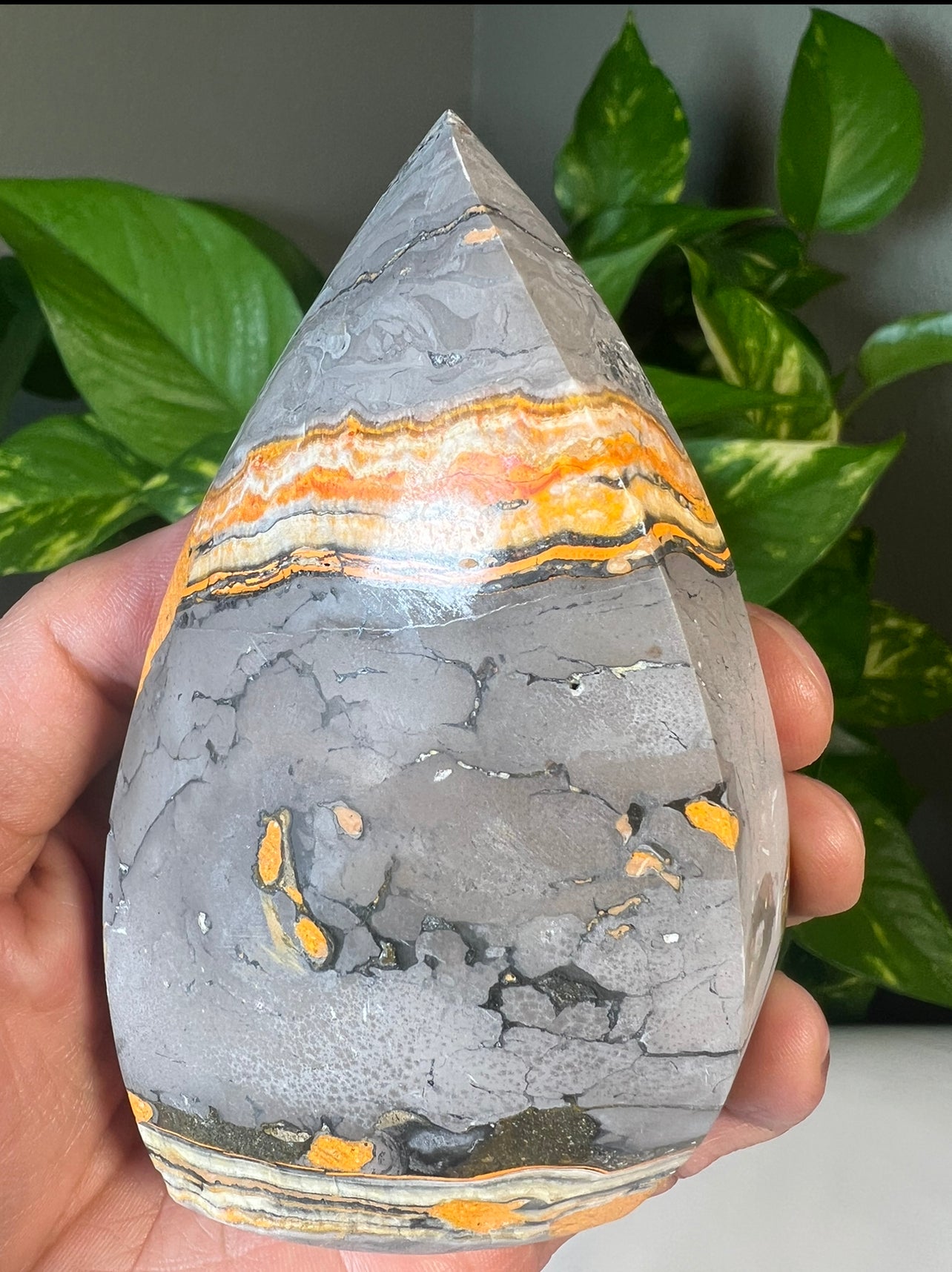 Bumblebee Jasper Flames