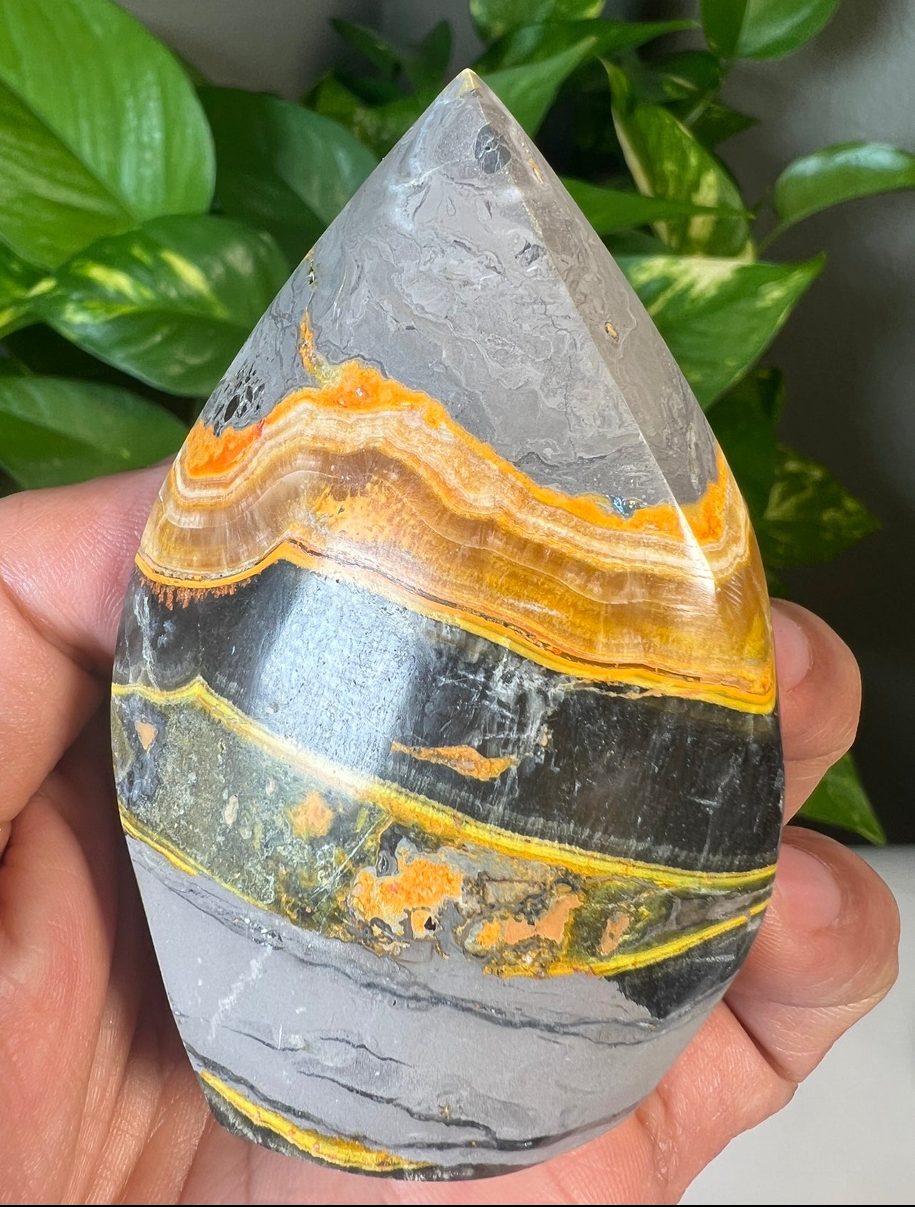 Bumblebee Jasper Flames