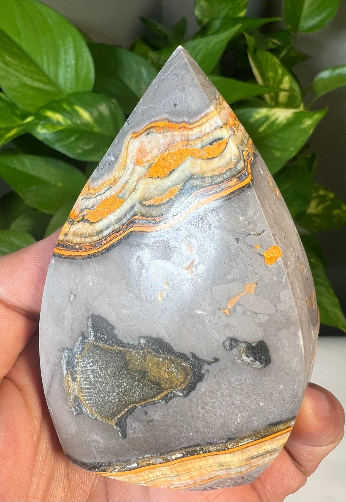 Bumblebee Jasper Flames