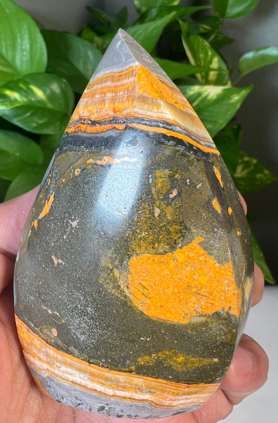 Bumblebee Jasper Flames