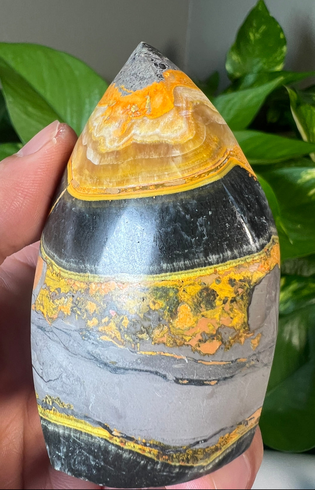 Bumblebee Jasper Flames