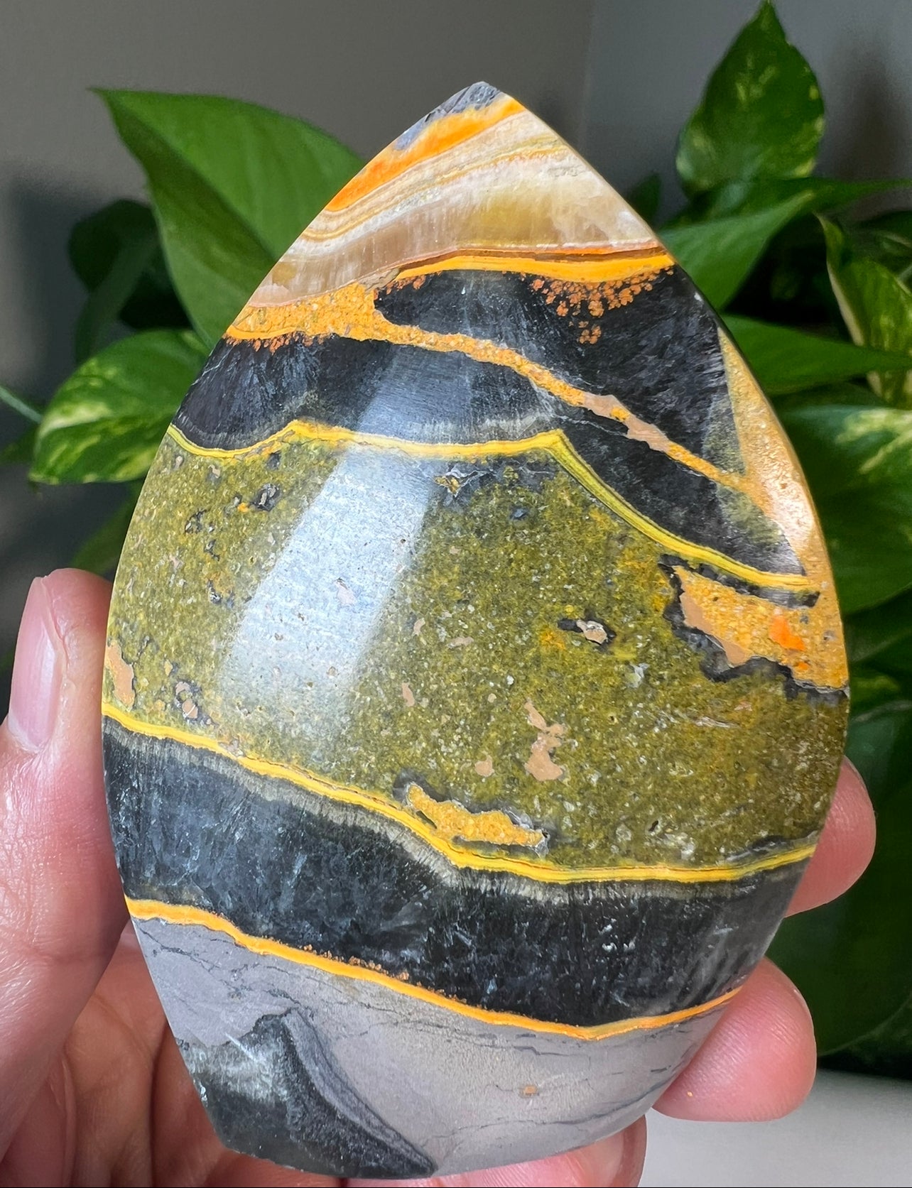 Bumblebee Jasper Flames