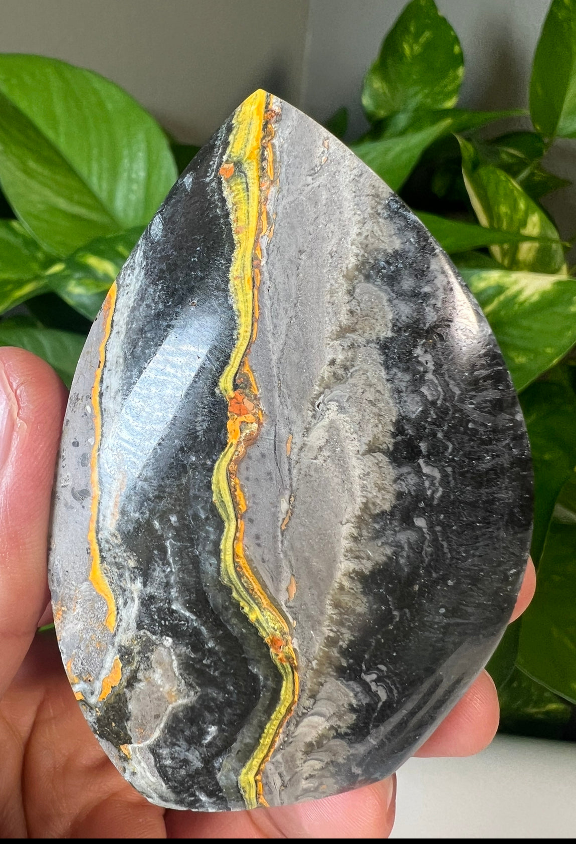 Bumblebee Jasper Flames