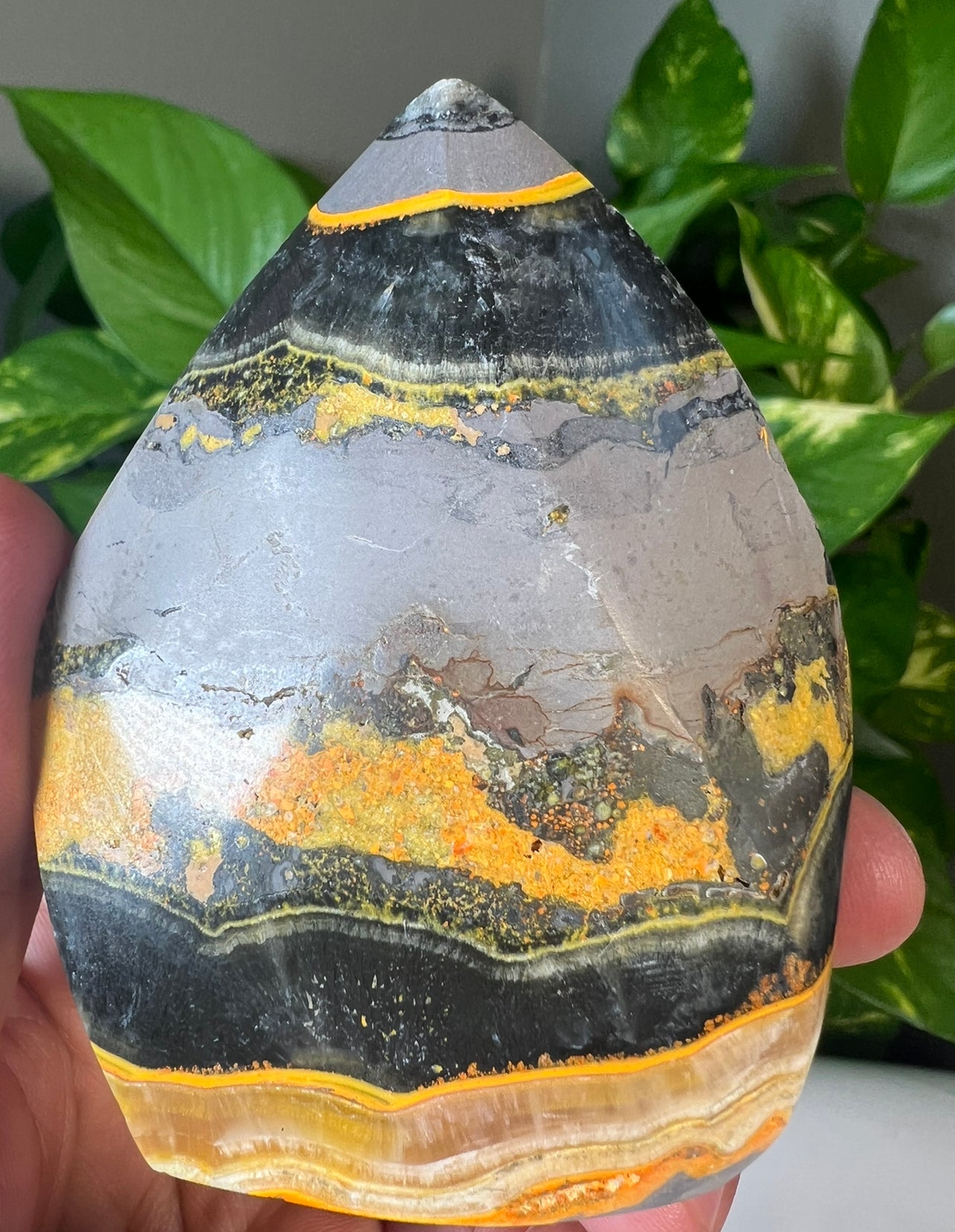 Bumblebee Jasper Flames