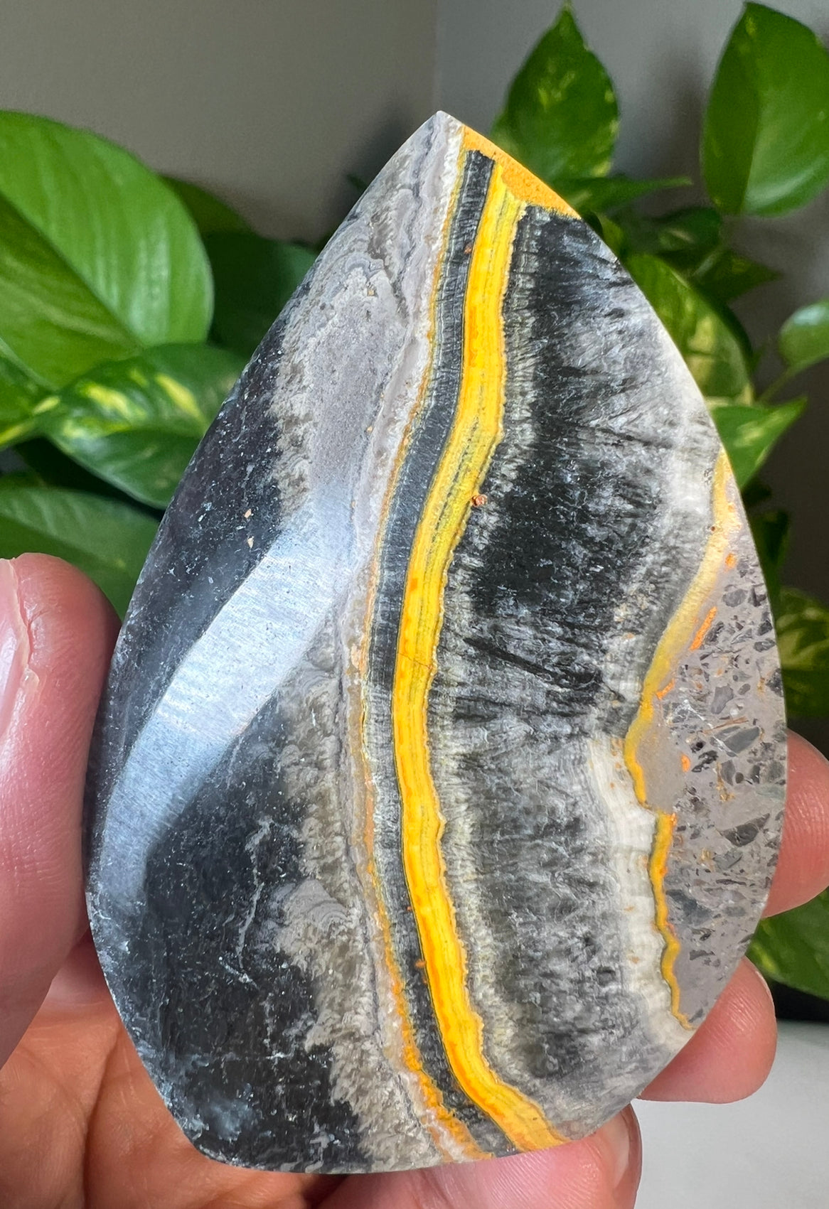 Bumblebee Jasper Flames