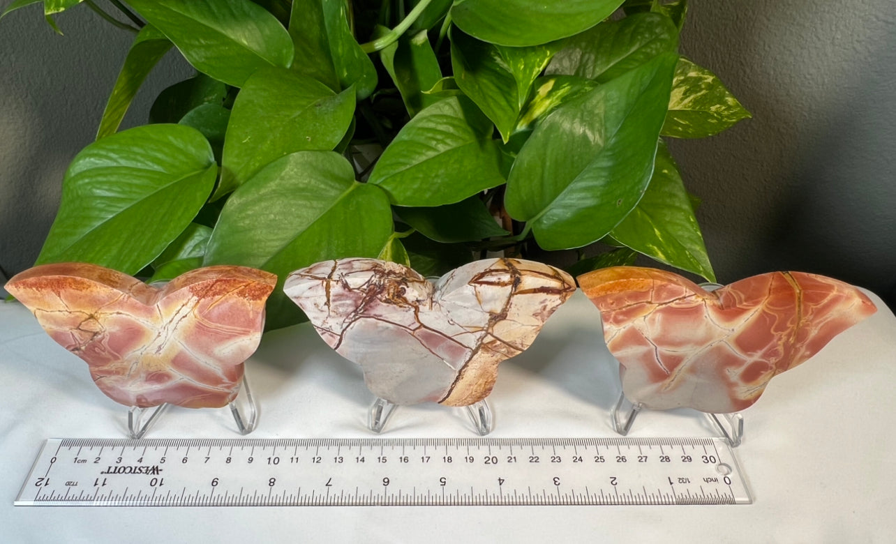 Pink Polycrome Jasper Butterflies