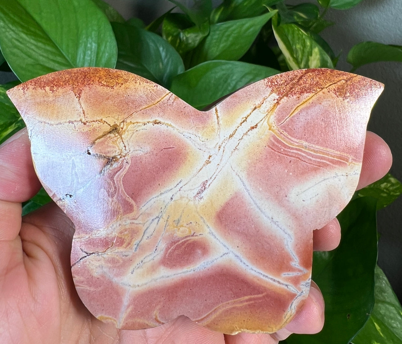 Pink Polycrome Jasper Butterflies