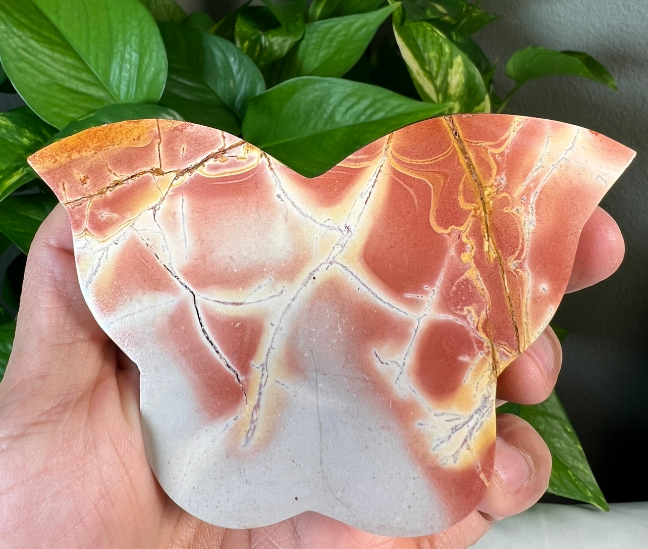 Pink Polycrome Jasper Butterflies