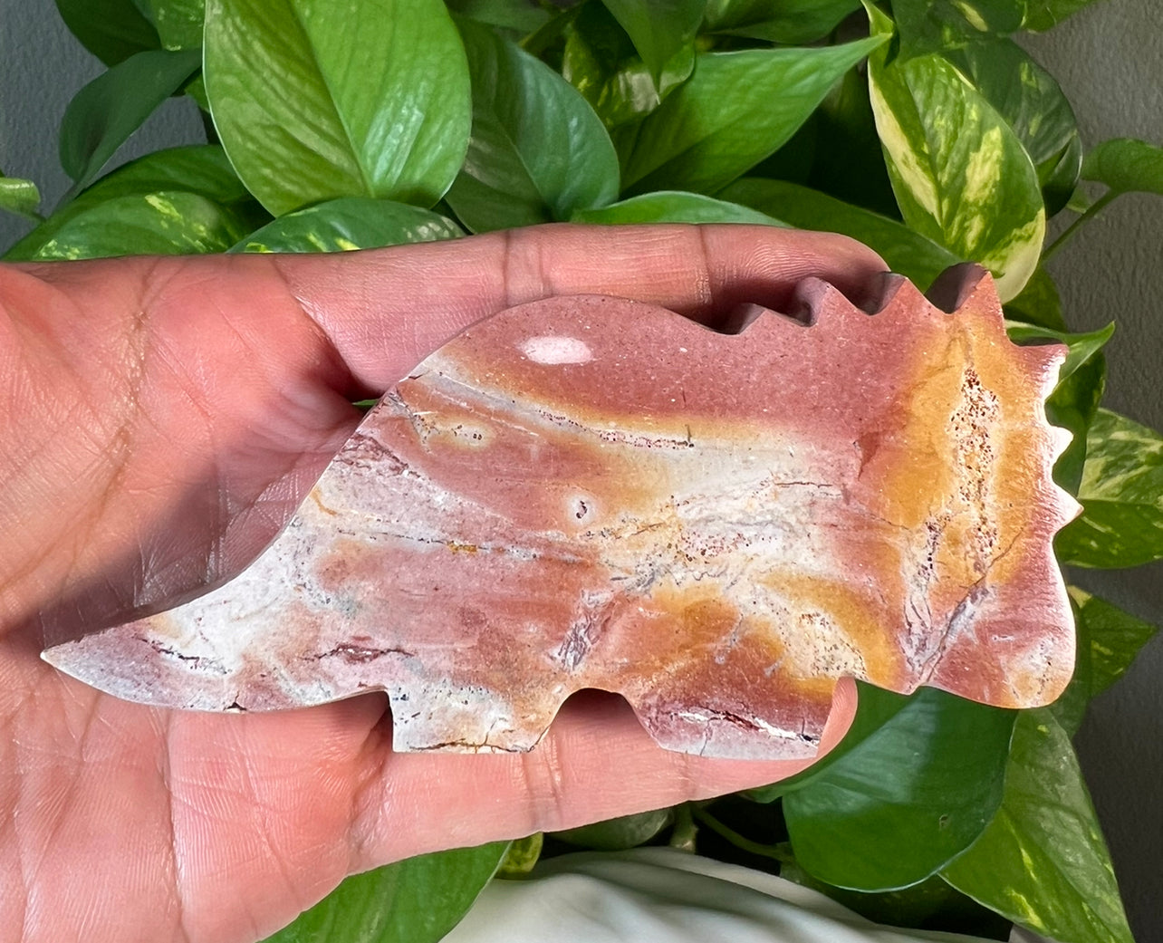 Polychrome Jasper Dinosaurs