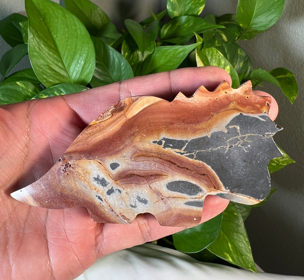 Polychrome Jasper Dinosaurs