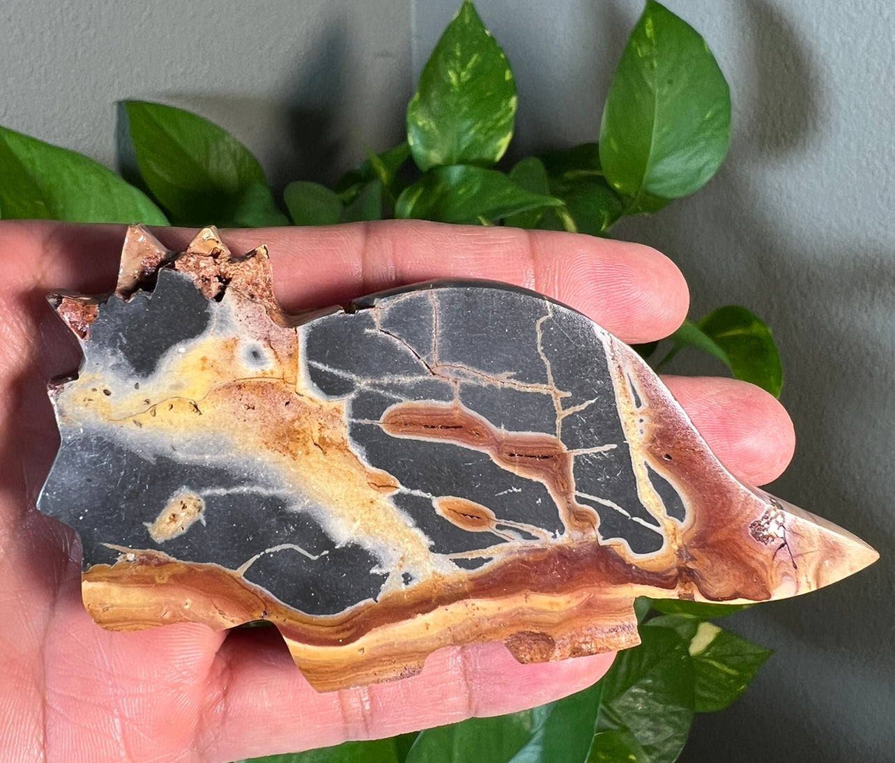 Polychrome Jasper Dinosaurs