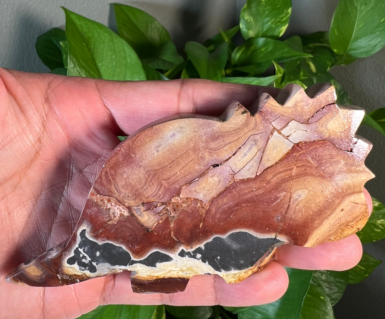 Polychrome Jasper Dinosaurs