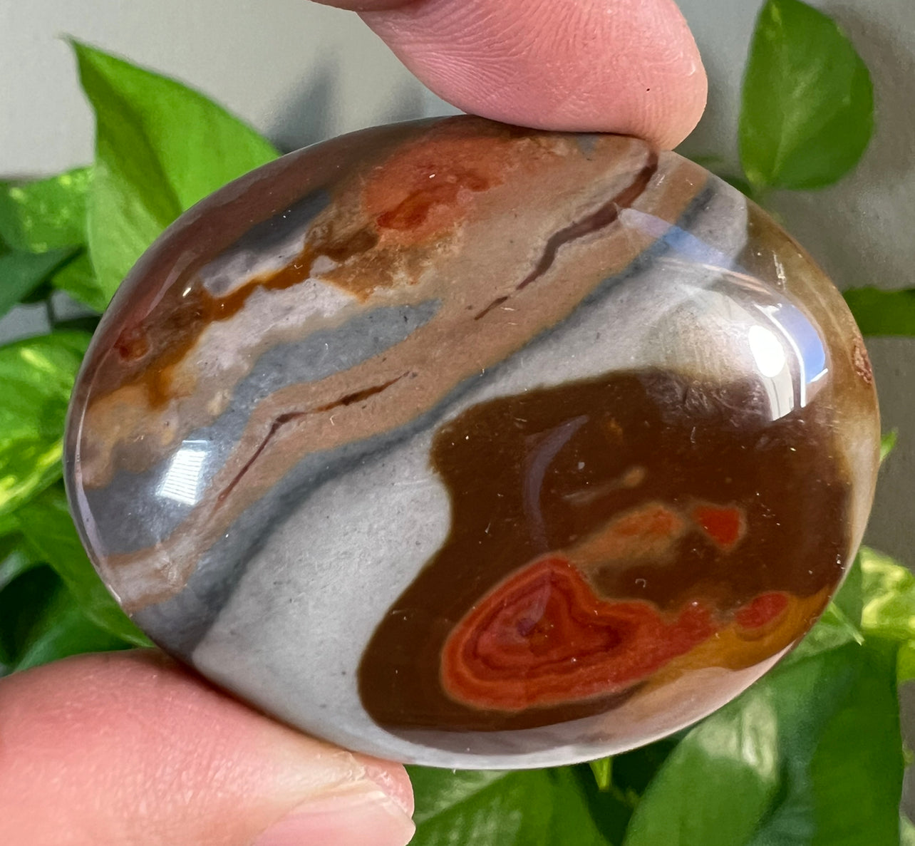 Polychrome Jasper Palm Stones