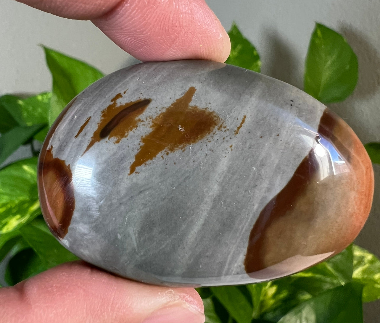 Polychrome Jasper Palm Stones