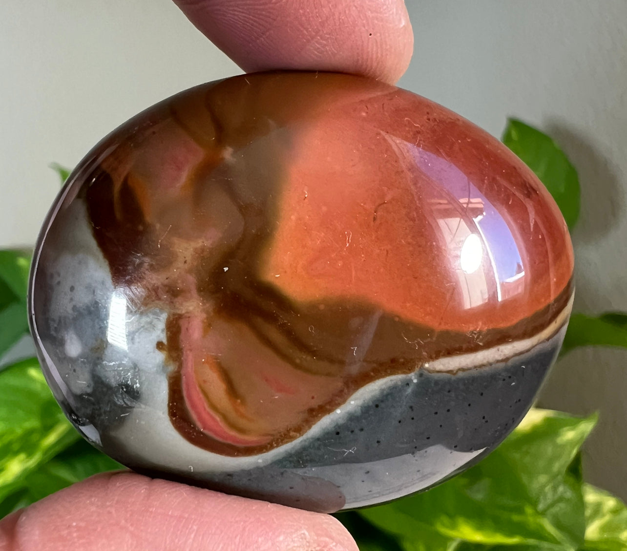 Polychrome Jasper Palm Stones