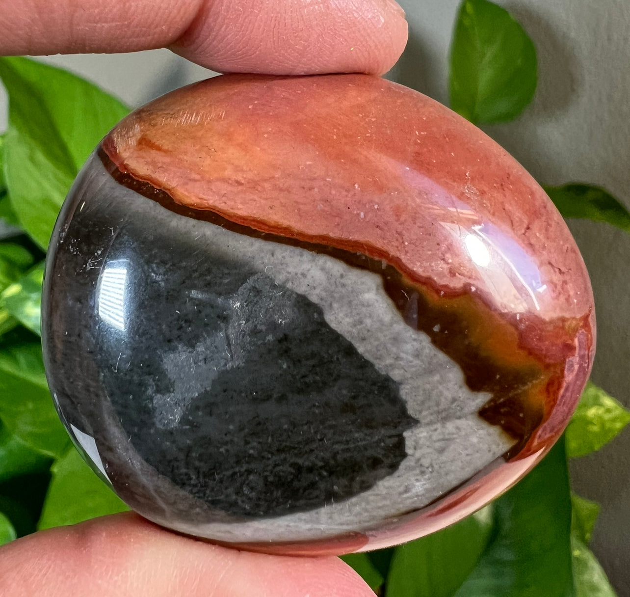 Polychrome Jasper Palm Stones