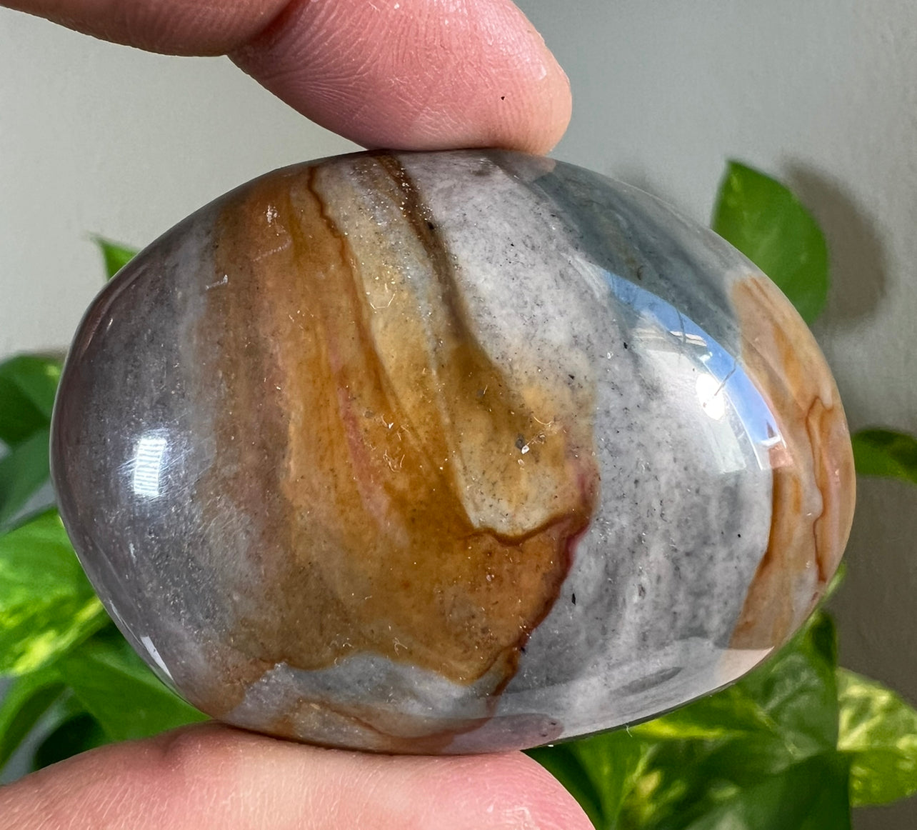 Polychrome Jasper Palm Stones