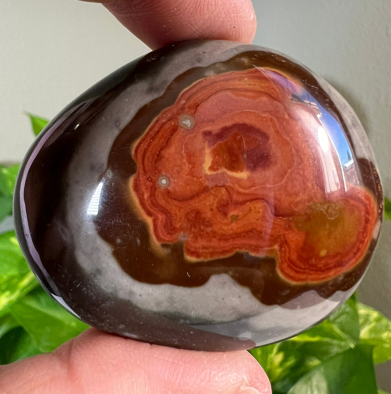 Polychrome Jasper Palm Stones