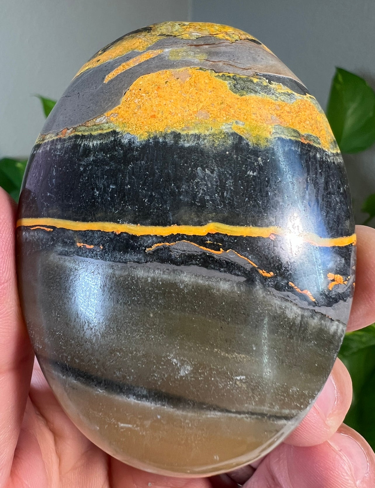 Large Bumblebee Jasper Palm Stones