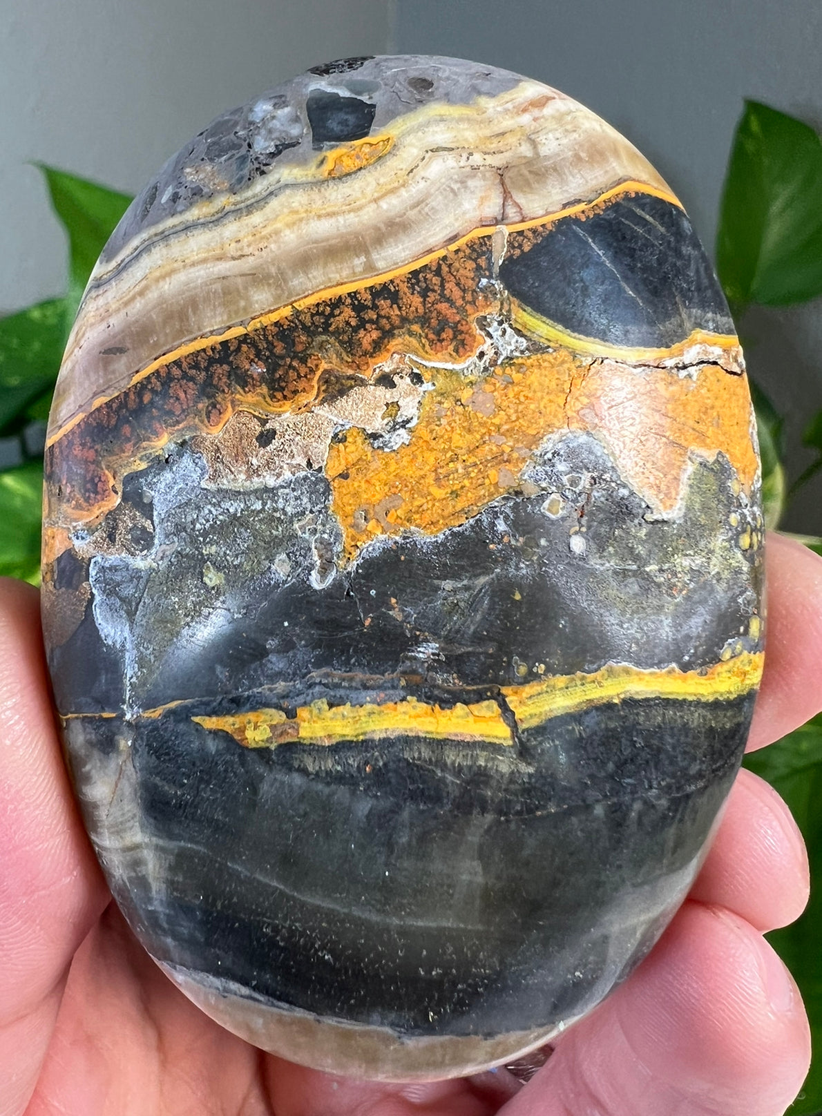 Large Bumblebee Jasper Palm Stones