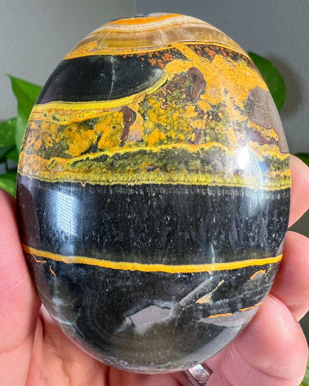 Large Bumblebee Jasper Palm Stones