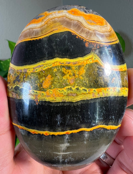 Large Bumblebee Jasper Palm Stones