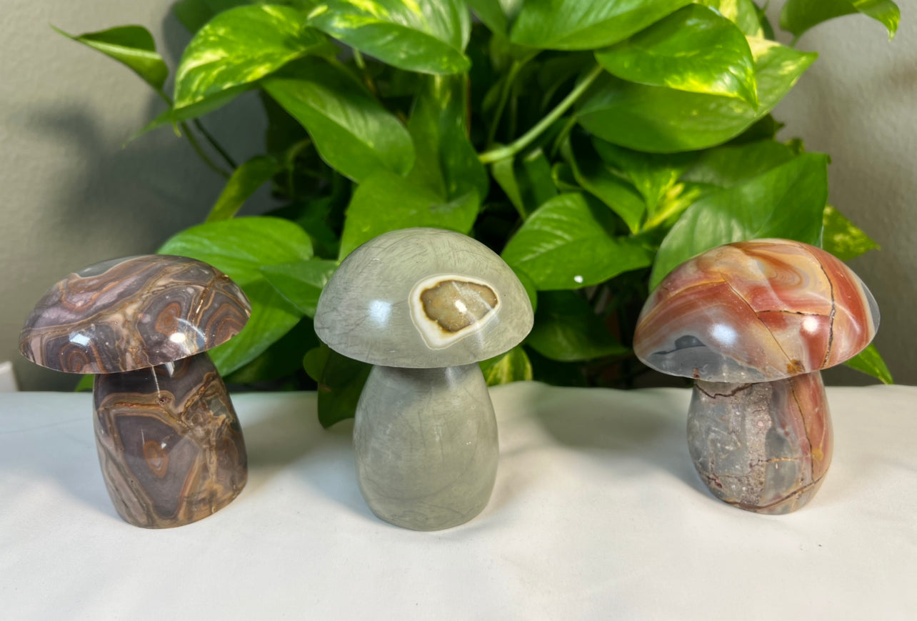 Polychrome Jasper Mushrooms