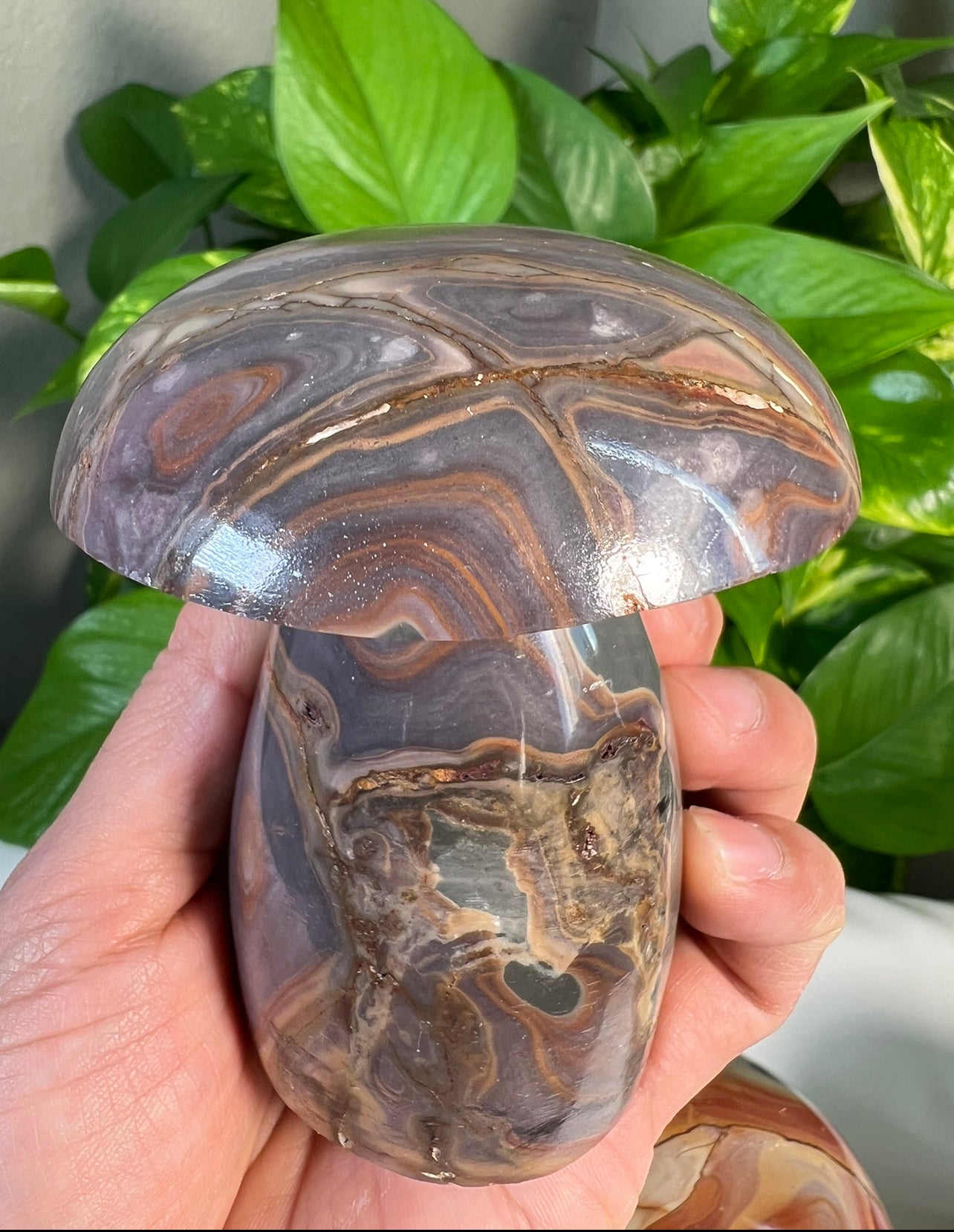 Polychrome Jasper Mushrooms