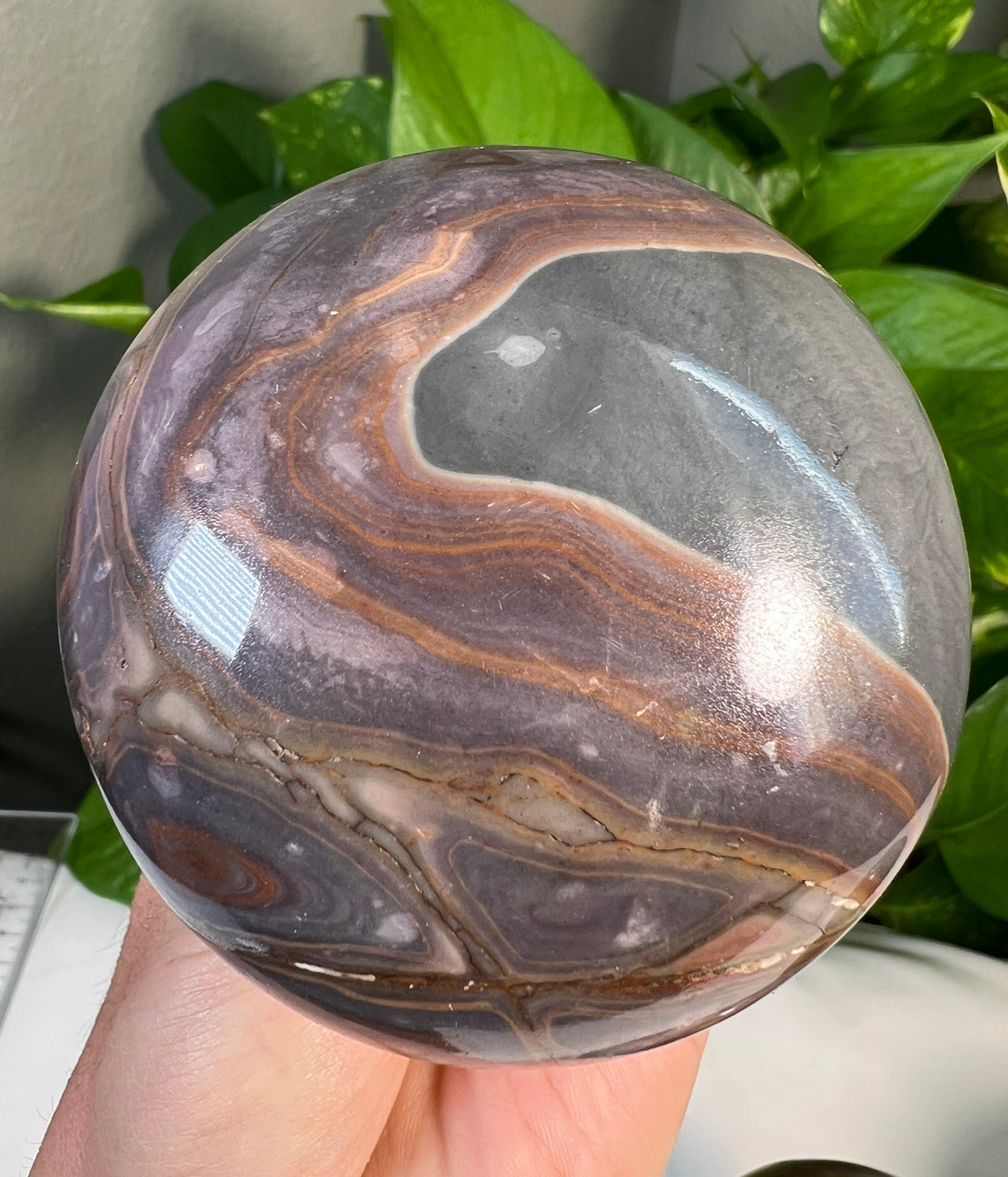 Polychrome Jasper Mushrooms